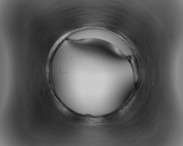 X0000083551196200703021642