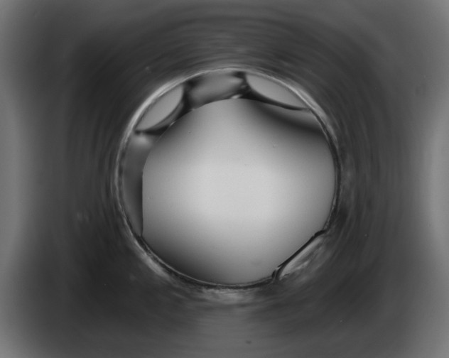 X0000083551197200703021642