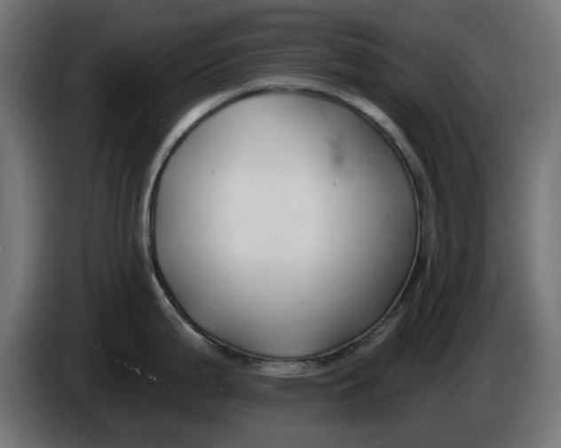 X0000083551199200703021642