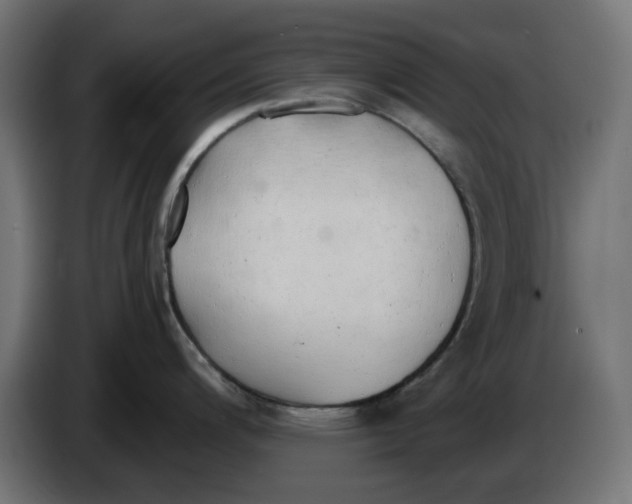 X0000083551200200703021642