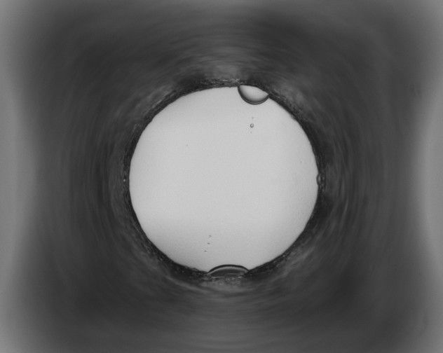 X0000083551201200703021641