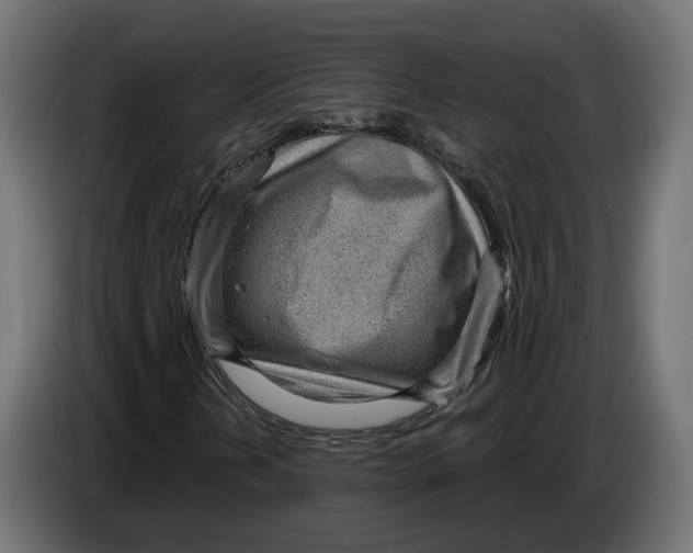 X0000083551202200703021641