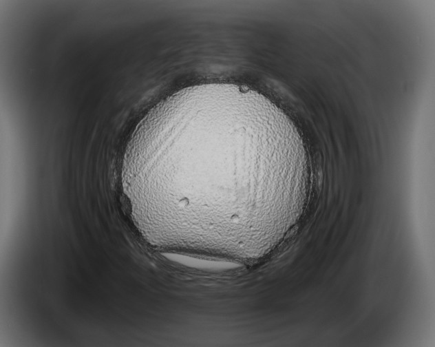 X0000083551204200703021641