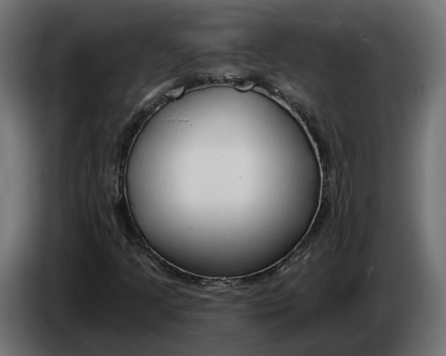 X0000083551205200703021641