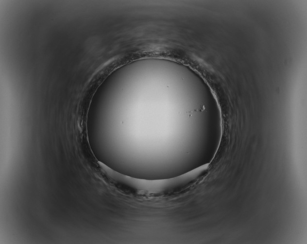 X0000083551206200703021641