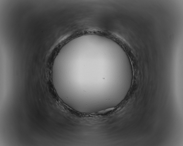 X0000083551207200703021641