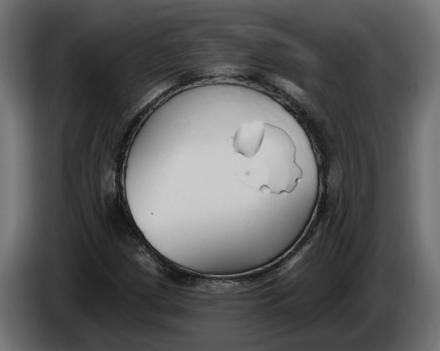 X0000083551209200703021641