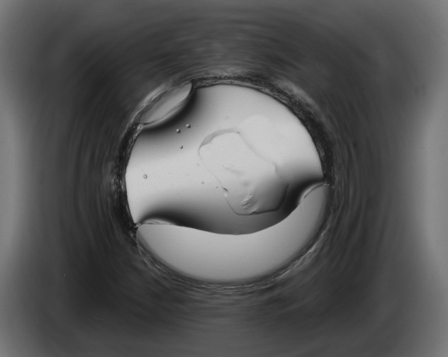 X0000083551210200703021641