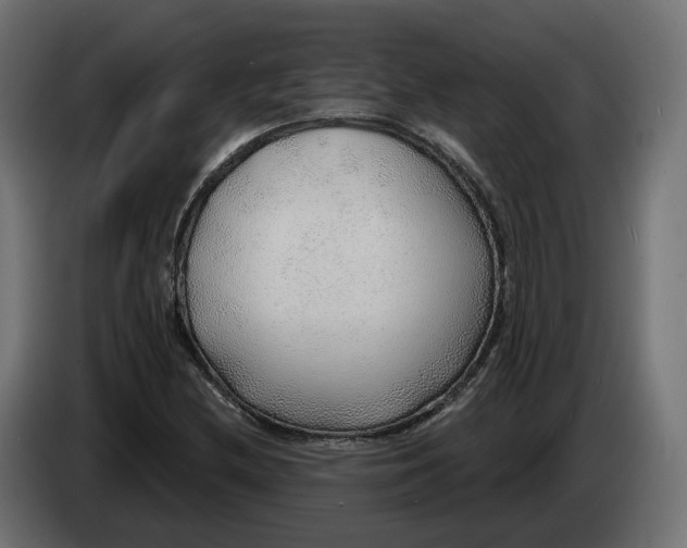 X0000083551212200703021641