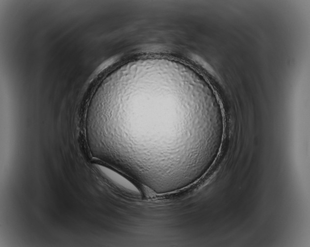 X0000083551213200703021641