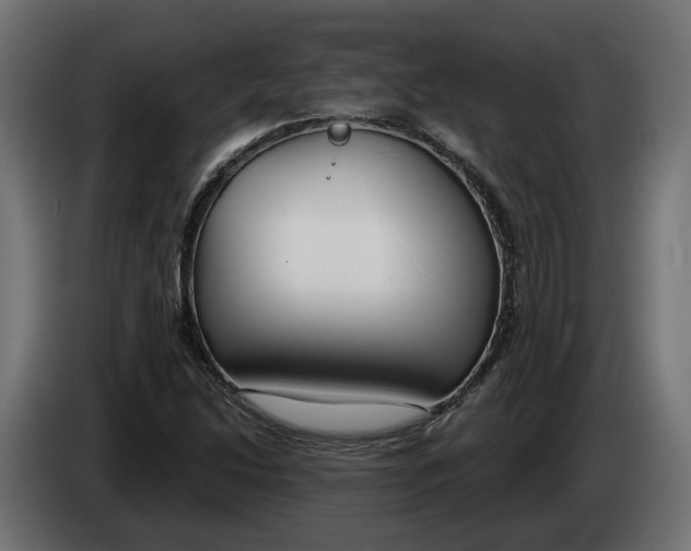 X0000083551214200703021641