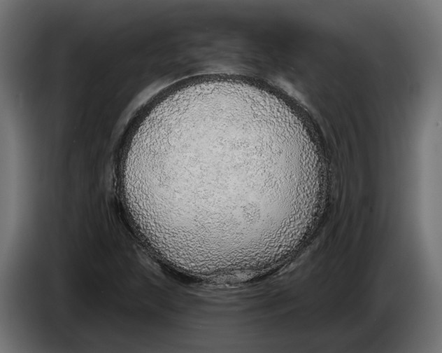 X0000083551215200703021641