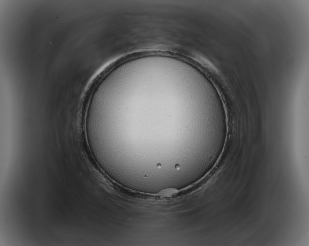X0000083551216200703021641