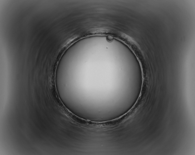 X0000083551217200703021641