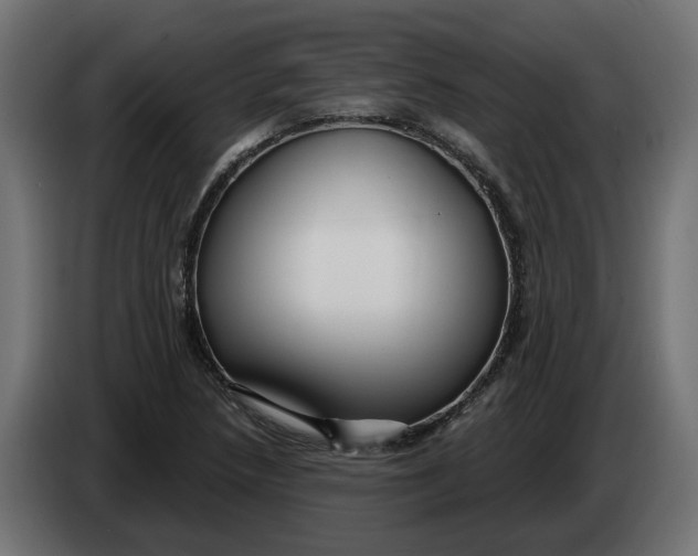 X0000083551218200703021641