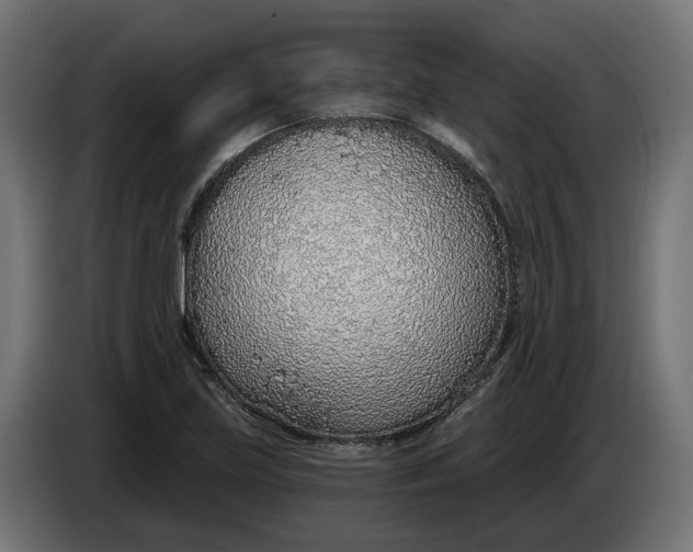 X0000083551219200703021642