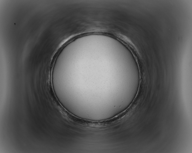 X0000083551220200703021642