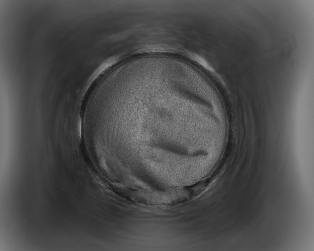 X0000083551221200703021642