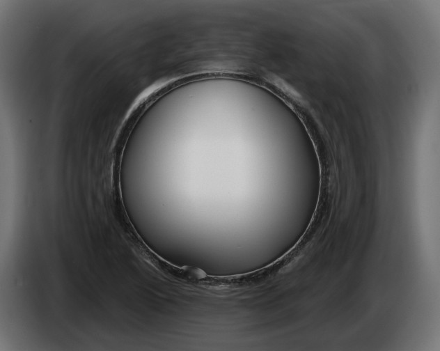 X0000083551222200703021642