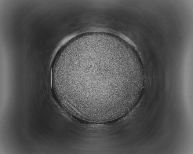 X0000083551223200703021642