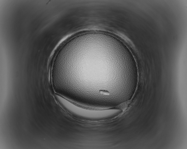 X0000083551224200703021642