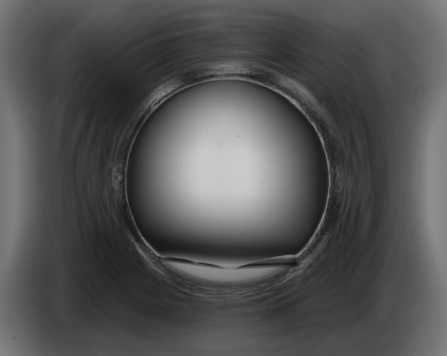 X0000083551225200703021642