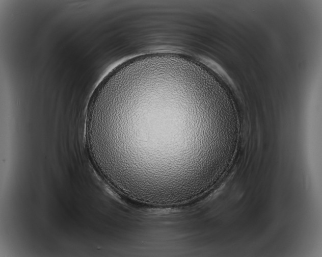 X0000083551228200703021642