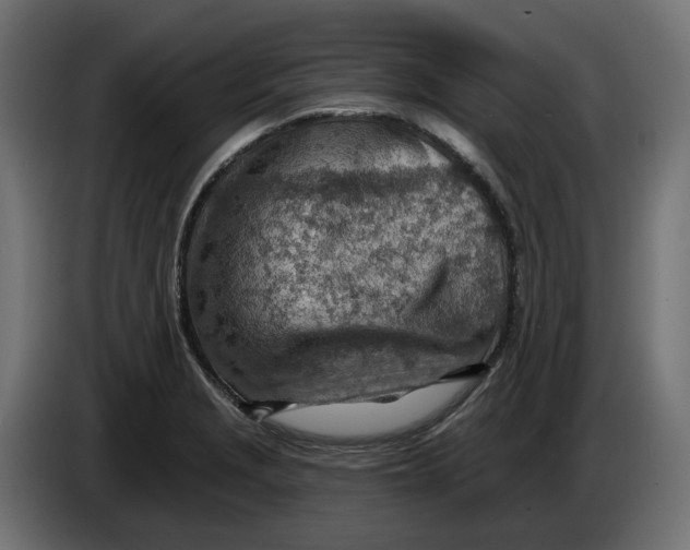 X0000083551229200703021642