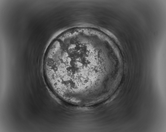 X0000083551231200703021642