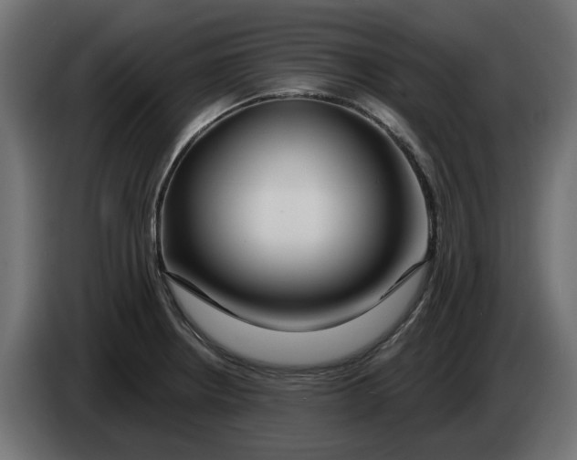 X0000083551234200703021642