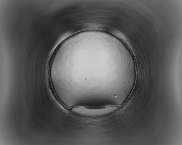 X0000083551235200703021642