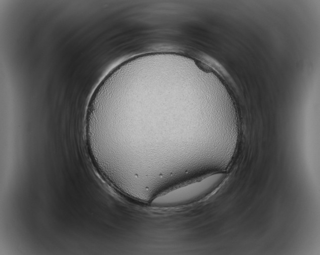 X0000083551236200703021642