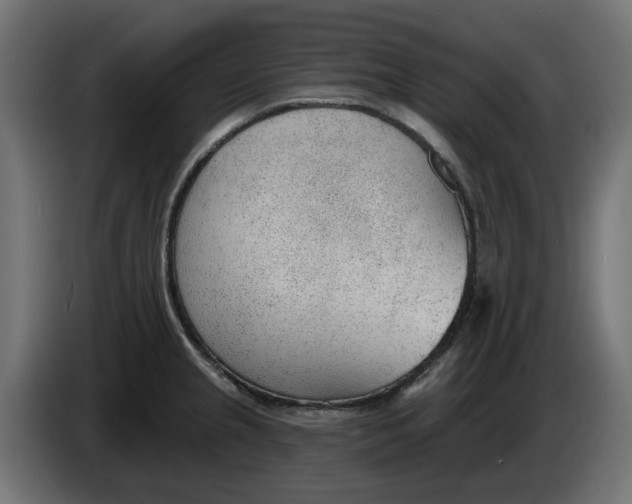X0000083551237200703021642