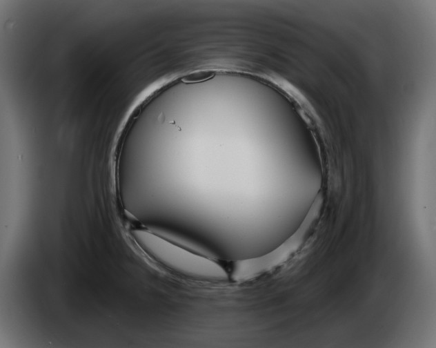 X0000083551238200703021642