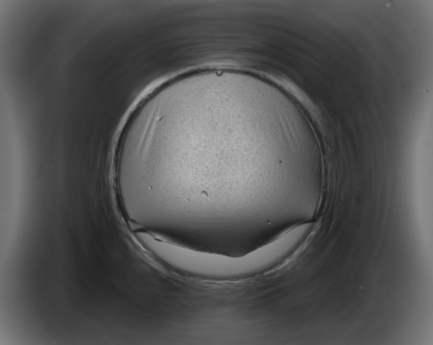 X0000083551240200703021642