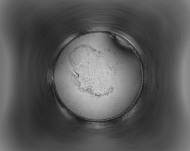 X0000083551241200703021642