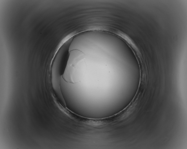 X0000083551242200703021642