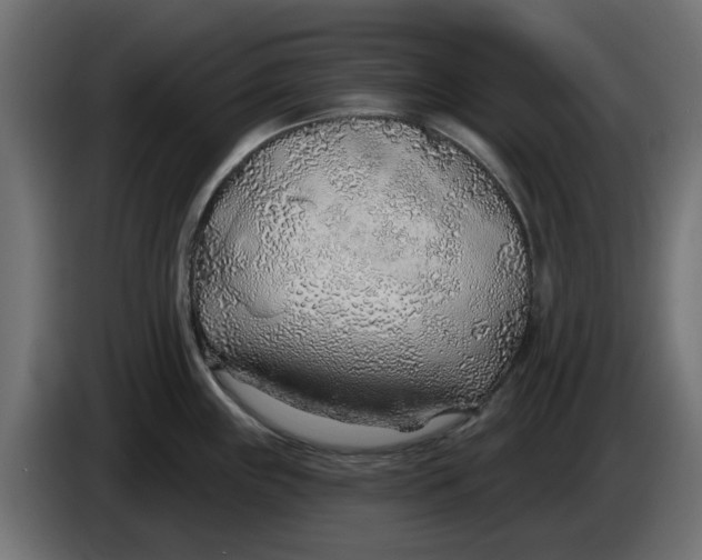 X0000083551243200703021642