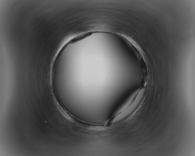 X0000083551246200703021642