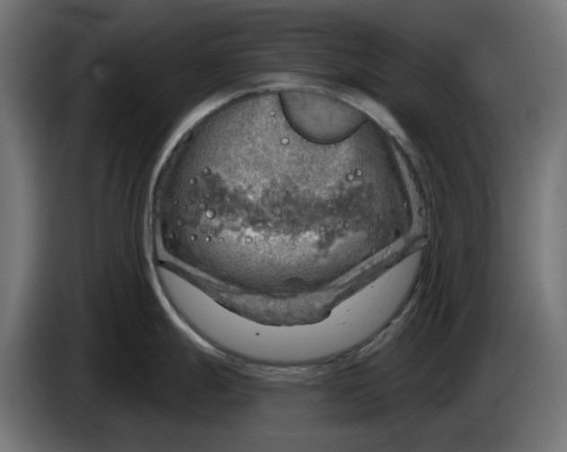 X0000083551247200703021642