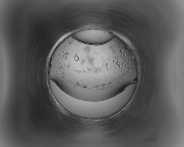 X0000083551248200703021642