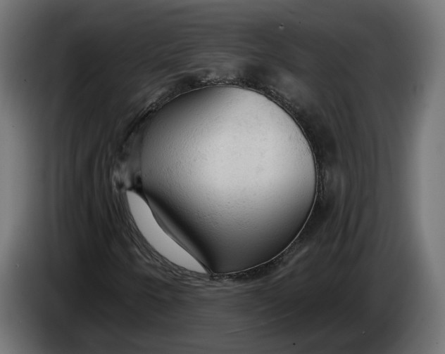 X0000083551250200703021641