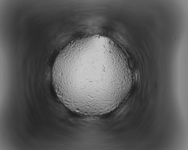 X0000083551251200703021641