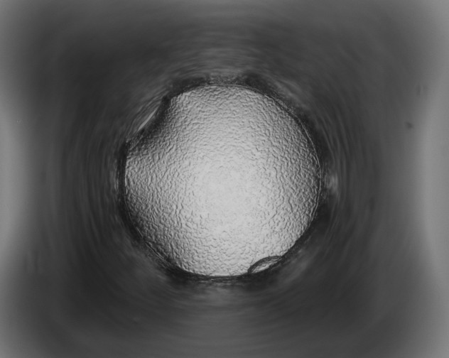 X0000083551252200703021641