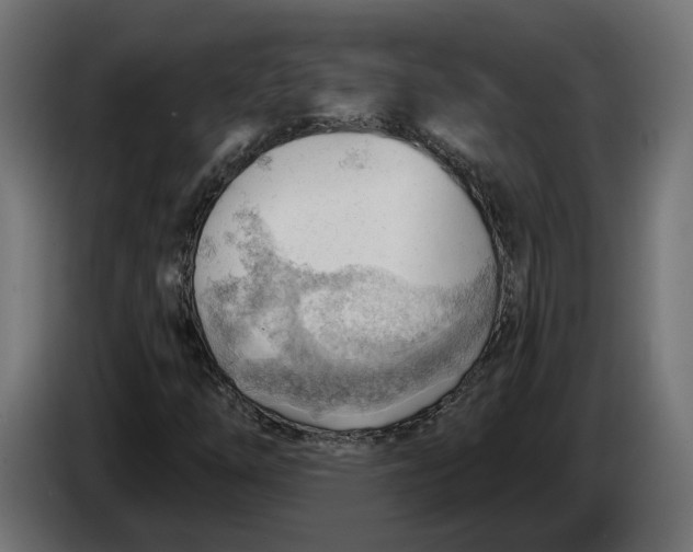 X0000083551254200703021641