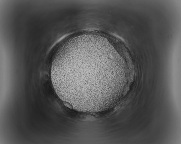 X0000083551255200703021641