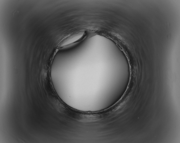 X0000083551257200703021641