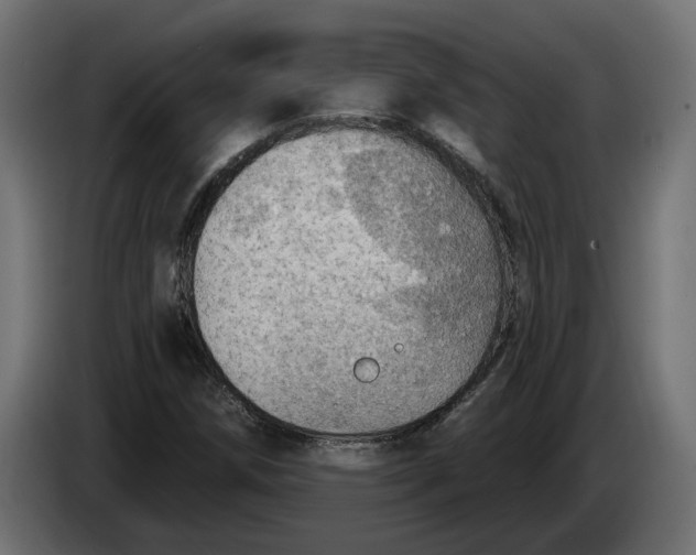 X0000083551258200703021641