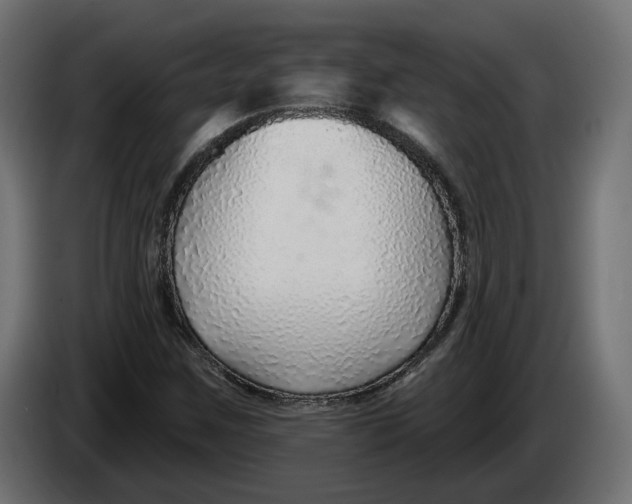 X0000083551259200703021641