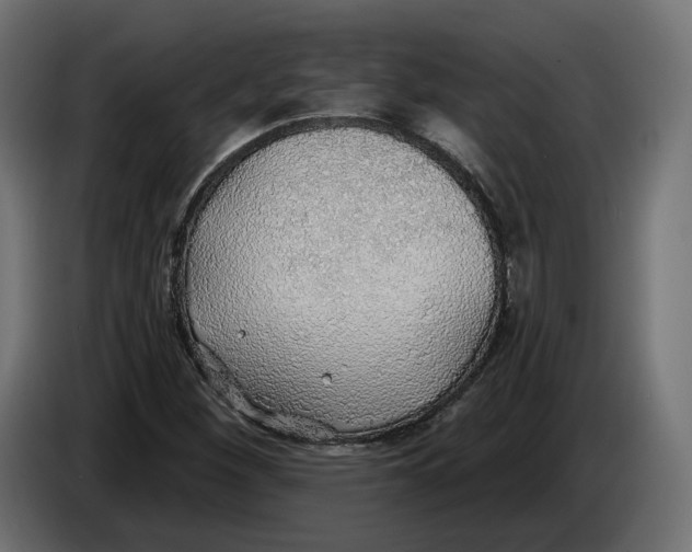 X0000083551260200703021641